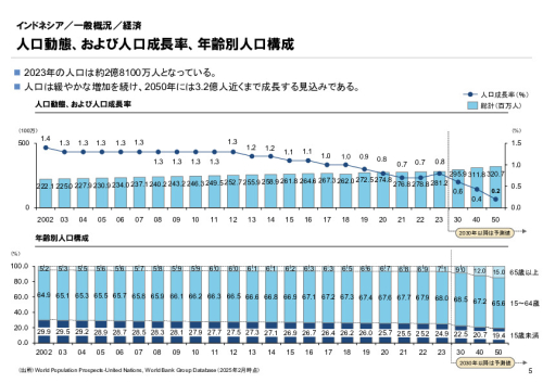 R6年度「医療国際展開カントリーレポート　新興国等のヘルスケア市場環境に関する基本情報　インドネシア編」