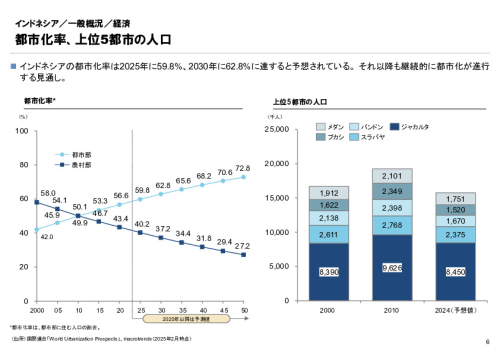 R6年度「医療国際展開カントリーレポート　新興国等のヘルスケア市場環境に関する基本情報　インドネシア編」