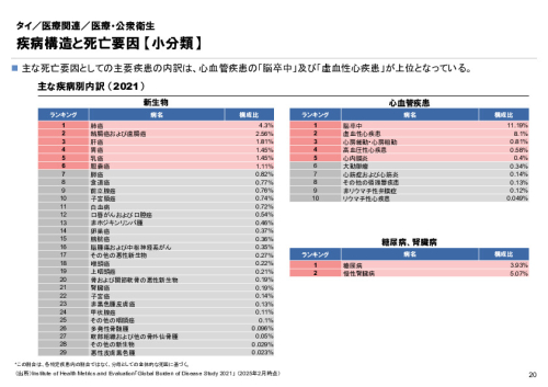 R6年度「医療国際展開カントリーレポート　新興国等のヘルスケア市場環境に関する基本情報　タイ編」