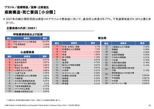 R6年度「医療国際展開カントリーレポート　新興国等のヘルスケア市場環境に関する基本情報　ブラジル編」
